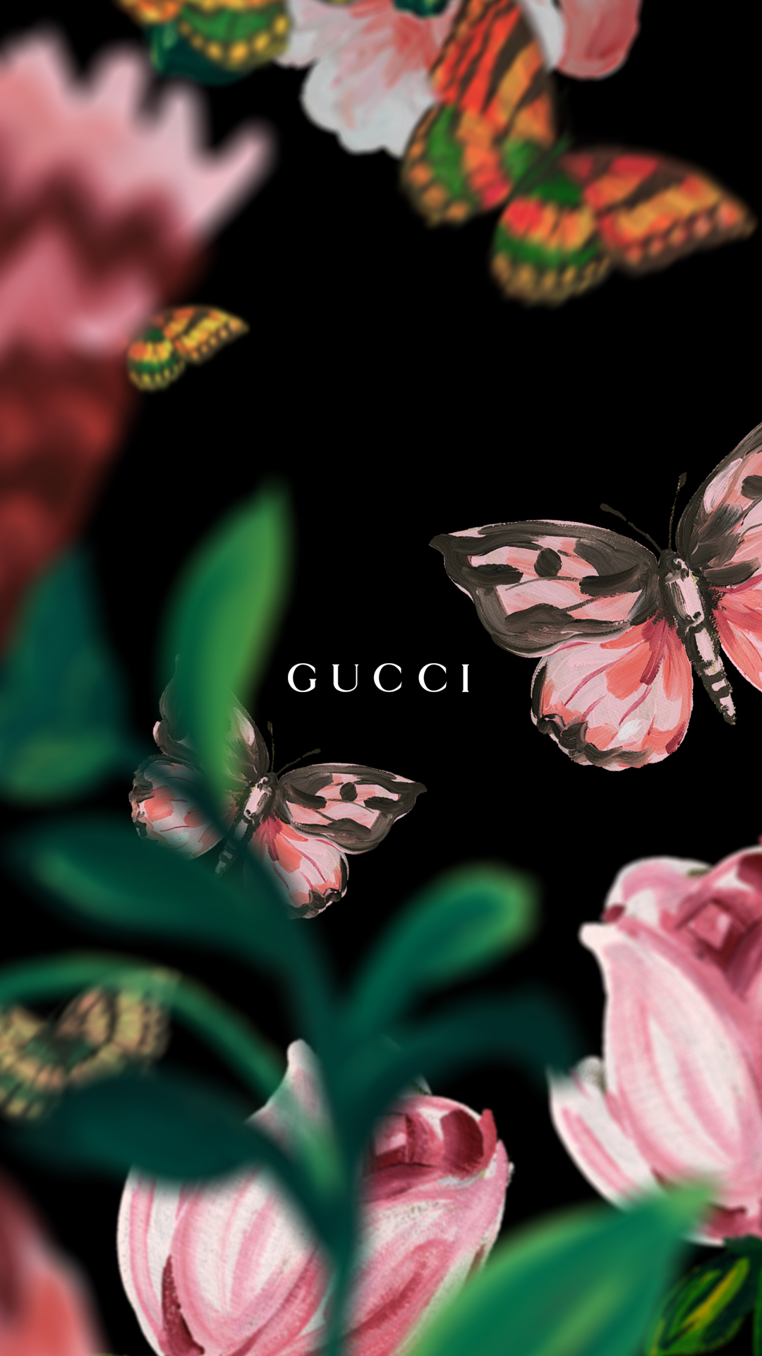 Gucci Wallpaper 